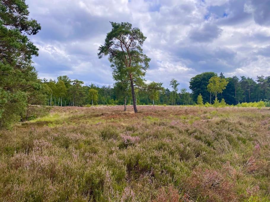 Knus Huisje Op Kindvriendelijk Park Met Zwembad 오털로 외부 사진